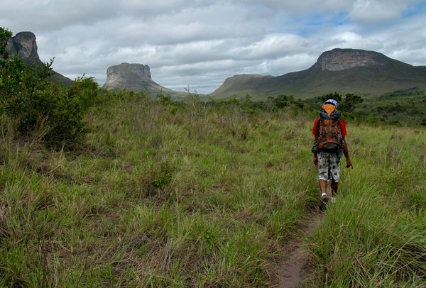 Comment planifier une croisière pour découvrir les glaciers de l'Antarctique?