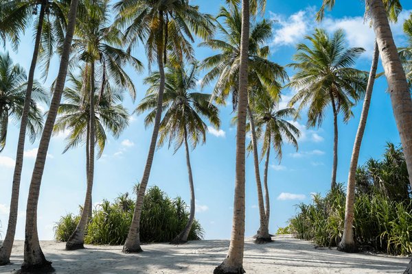 Comment organiser un camping pour une expédition de randonnée dans les montagnes de l'Atlas?