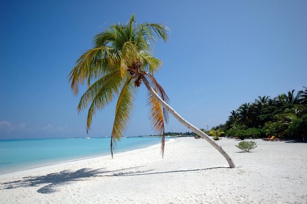 Comment choisir une croisière qui propose des ateliers de fabrication de mosaïques en Italie?